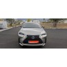 LEXUS NX 300h SPORT EXECUTIVE 