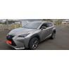 LEXUS NX 300h SPORT EXECUTIVE 